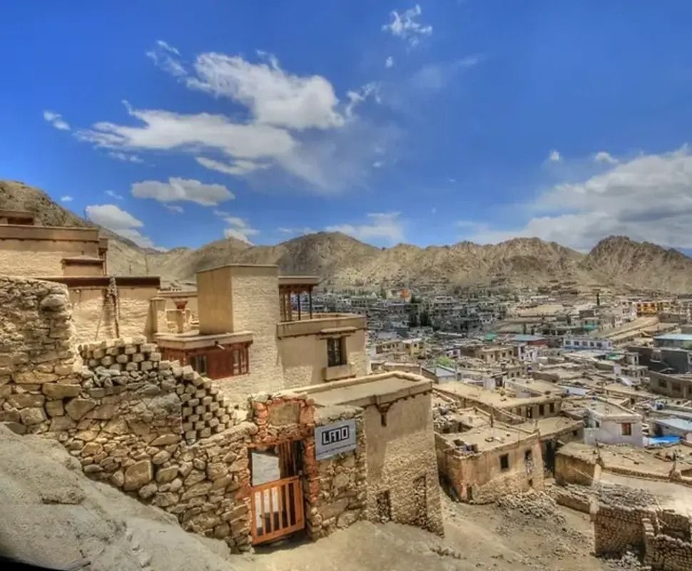Ladakh Arts and Media Organisation.jpg