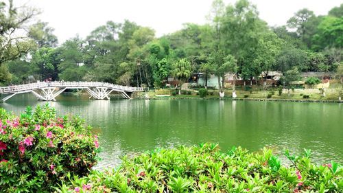 Ward's Lake.jpeg