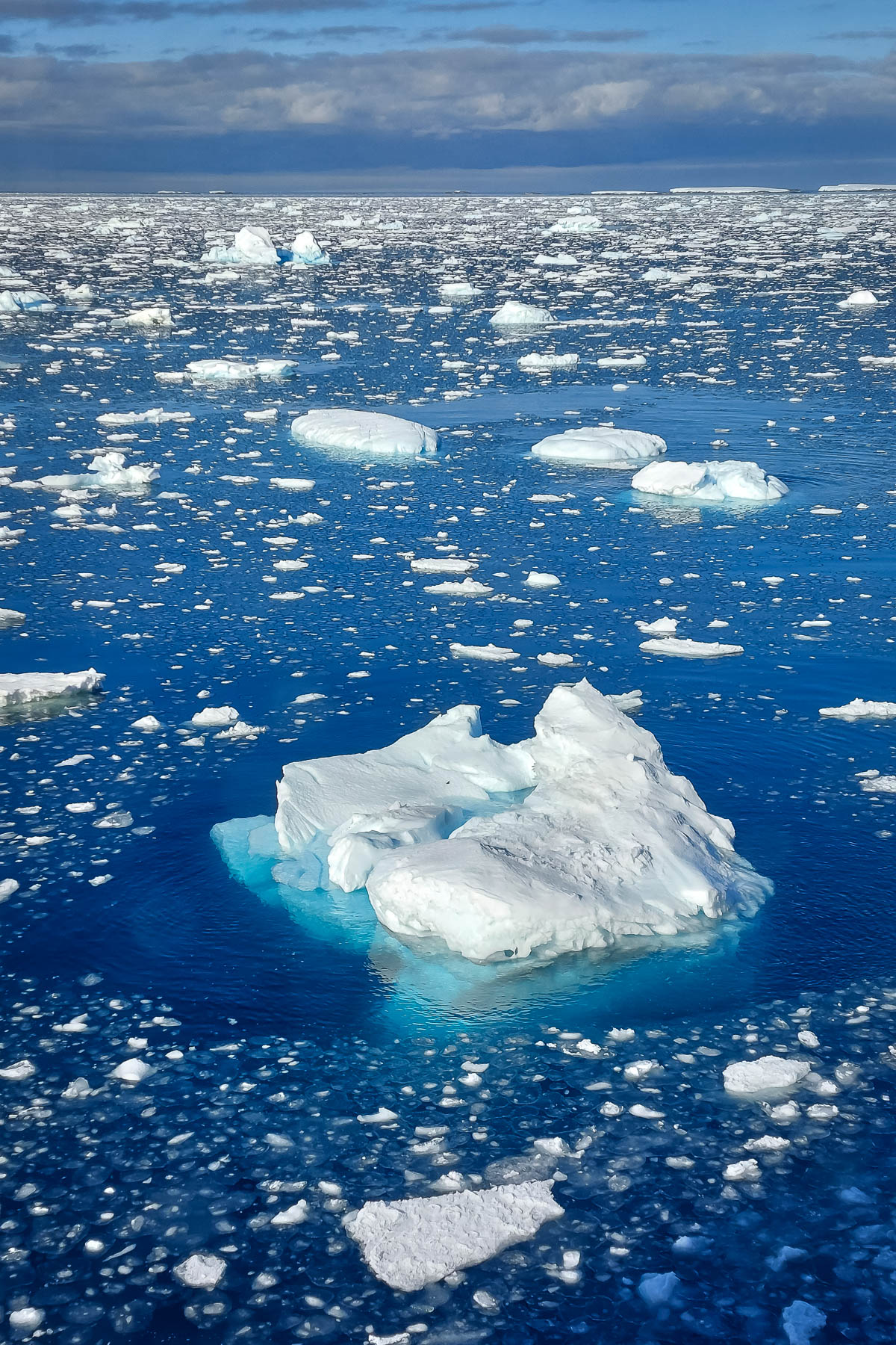 Iceberg amongst many other small icebergs.