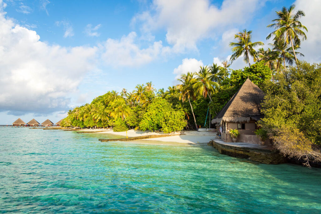 one of the maldives beach photos, boasting turquoise water and green foliage. 