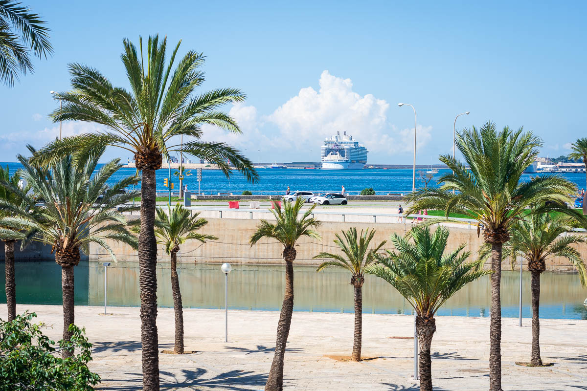 Views of the cruise ship in the distance from the Parc De La Mar in Palma De Mallorca. 