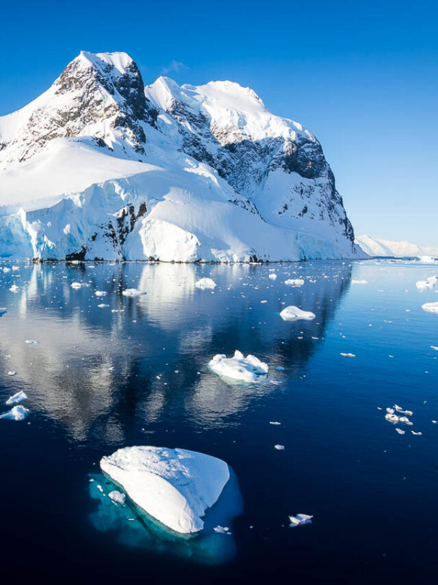 10 Things To Take To Antarctica