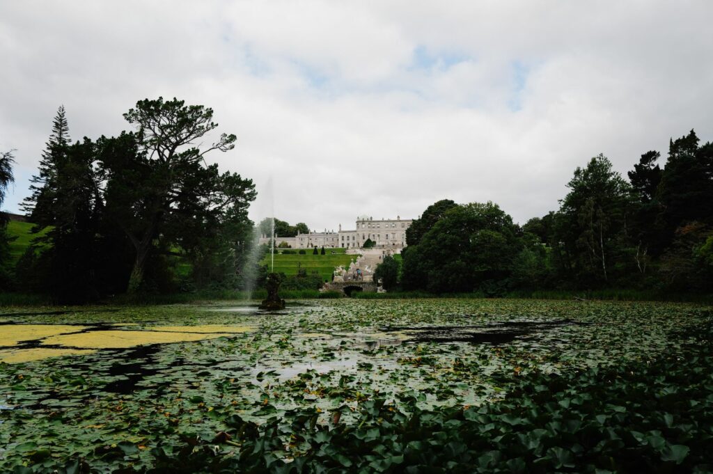 A tranquil pond with water lilies and a historic castle in the background.