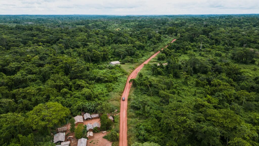 Aerial view of a dirt road winding through a lush forest in a tropical village, Cameroon.