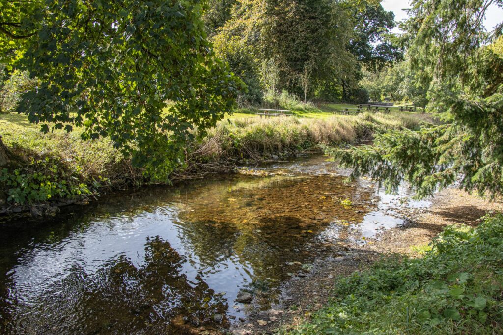Tranquil riverside scene with lush greenery in County Cork, Ireland.