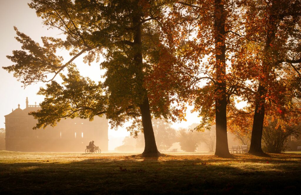 An idyllic autumn morning with sunbeams filtering through trees in Dresden's park featuring a cyclist.