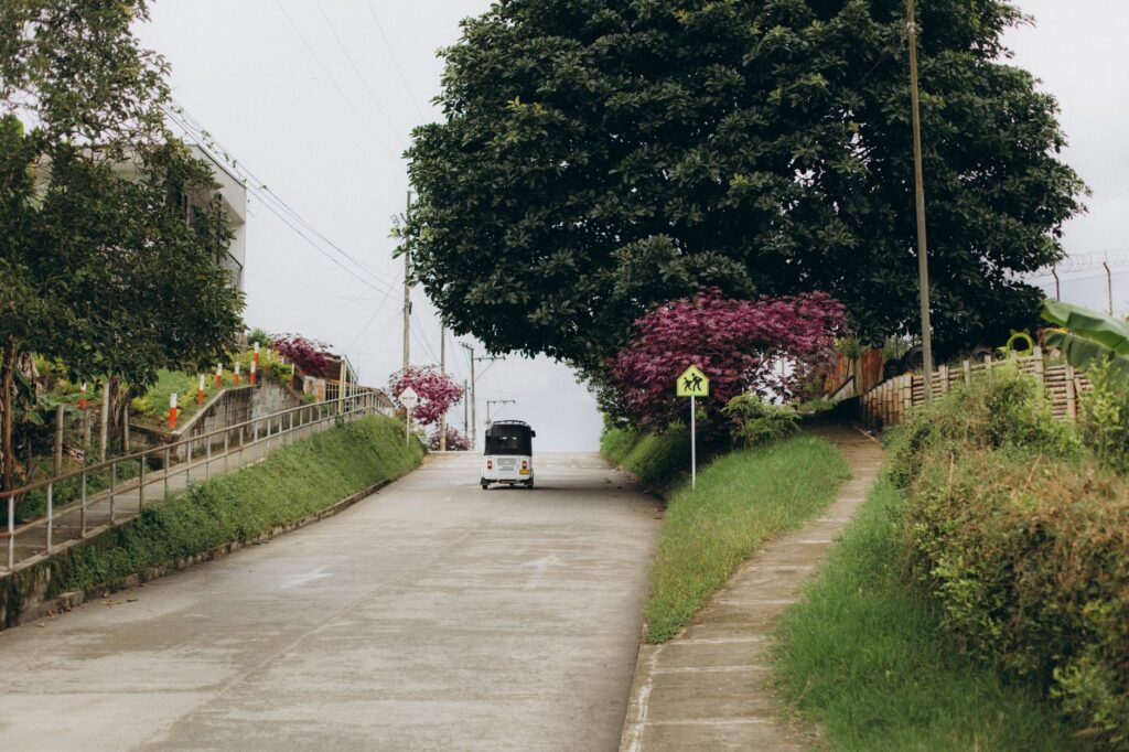 A scenic uphill street with a lone vehicle, vibrant trees, and lush greenery.