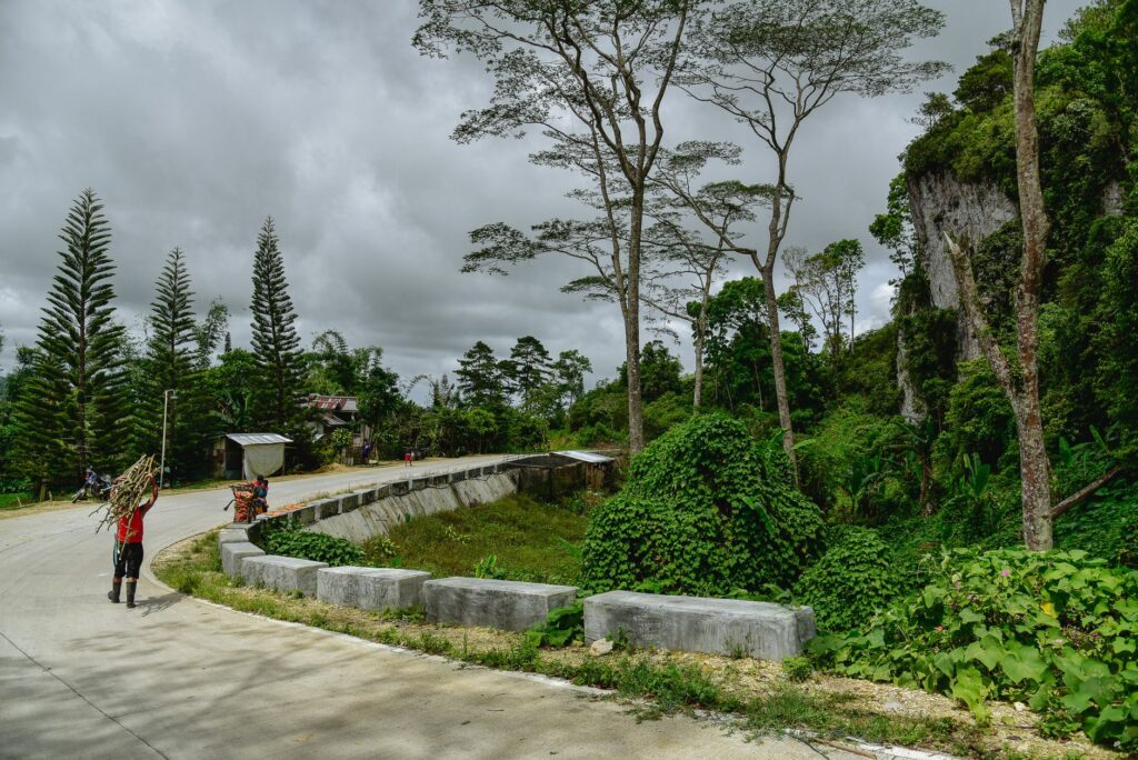 Serene countryside scene with people carrying wood along a winding road.
