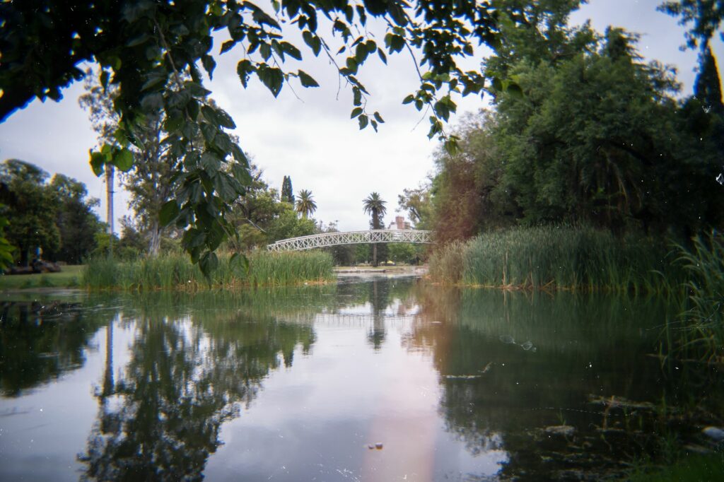 Scenic view of a bridge over a tranquil pond surrounded by lush greenery in Córdoba, Argentina.